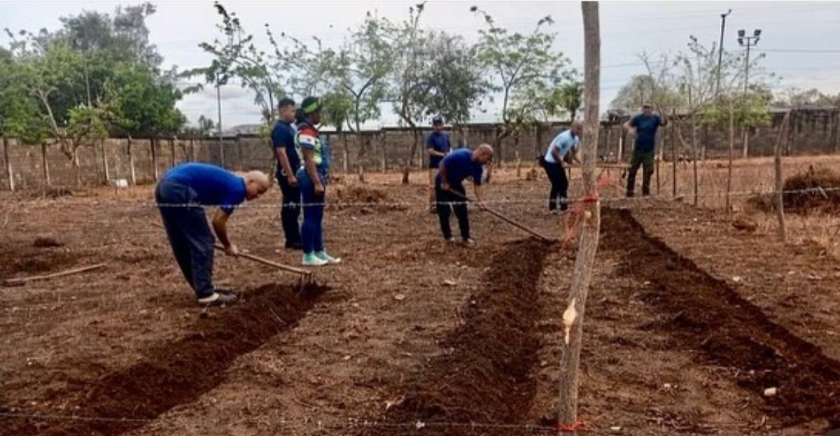 Avanza Plan Construyendo un Mejor Futuro impulsado en las entidades de atención al adolescente